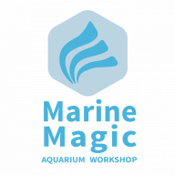 Marine_Magic_Aquarium